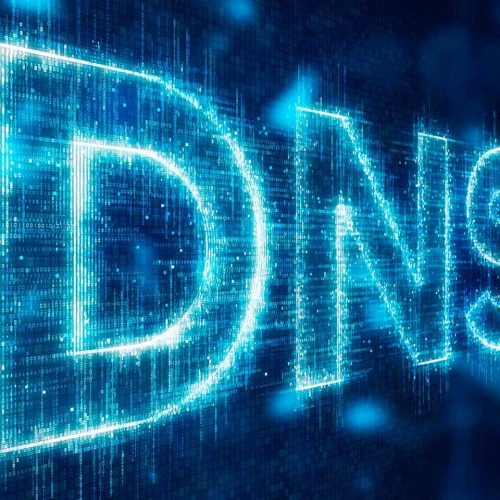 2009-DNS