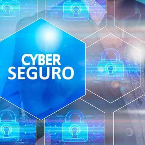 Ciberseguro