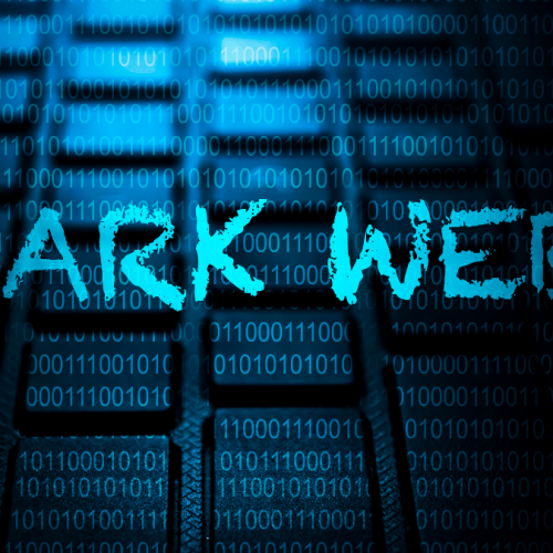 mercados-dark-web
